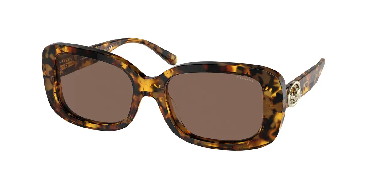 Coach C6186 8330 Sunglasses 1