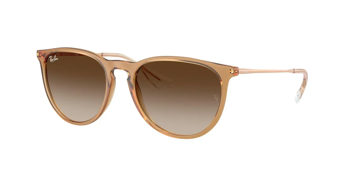 Ray-Ban Erika 4171 Sunglasses 1