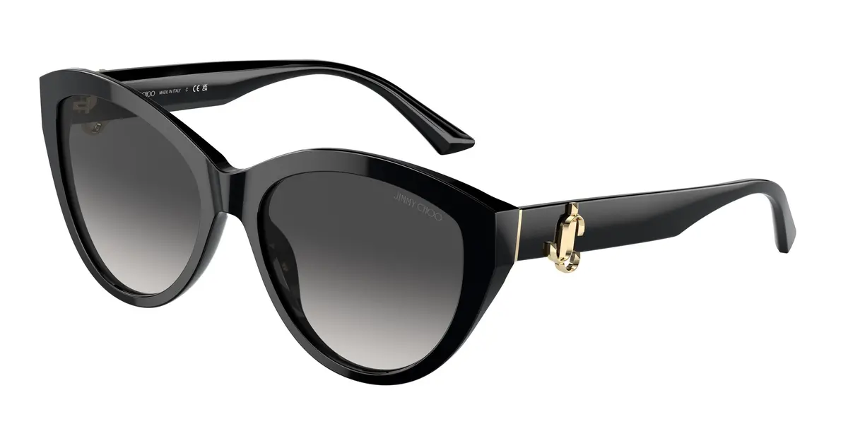 Jimmy Choo 5007 Sunglasses 3