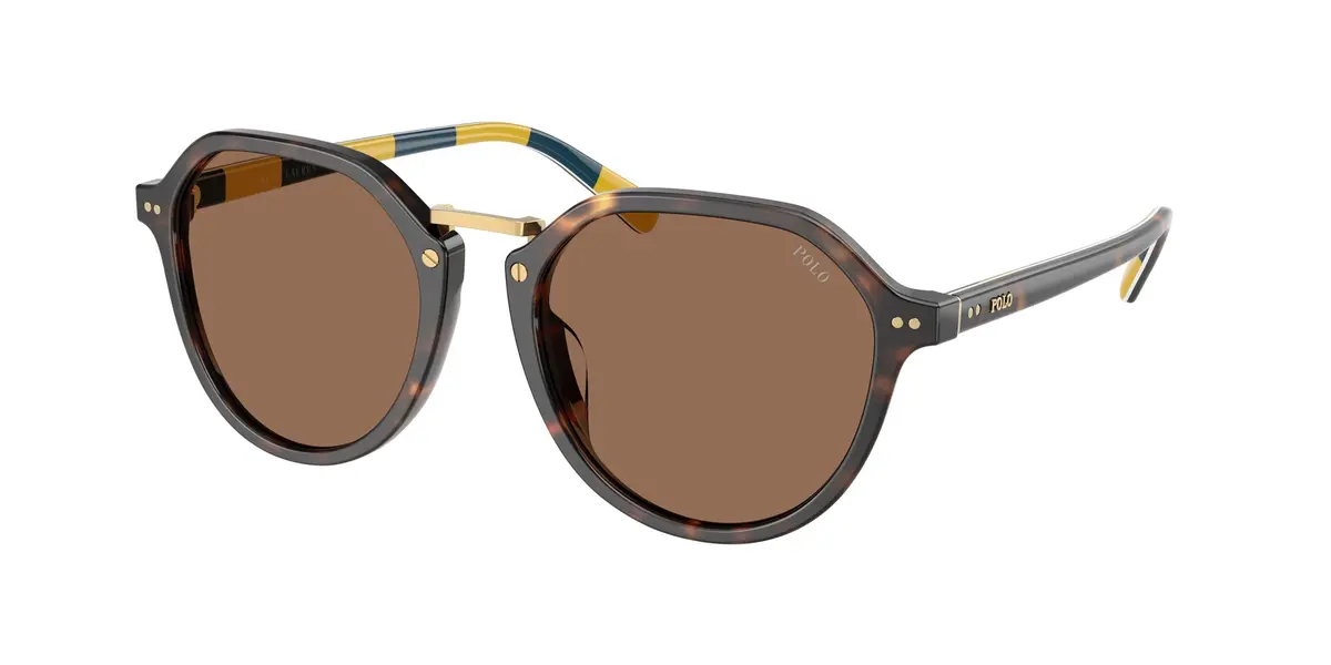Polo 4223U Sunglasses 1