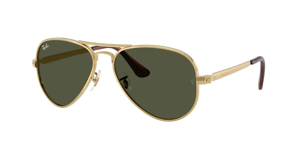 Ray-Ban Aviator Max 3925 Sunglasses 1