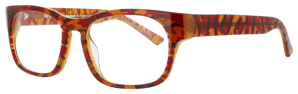 Harry Lary Ultimaty Eyeglasses 1