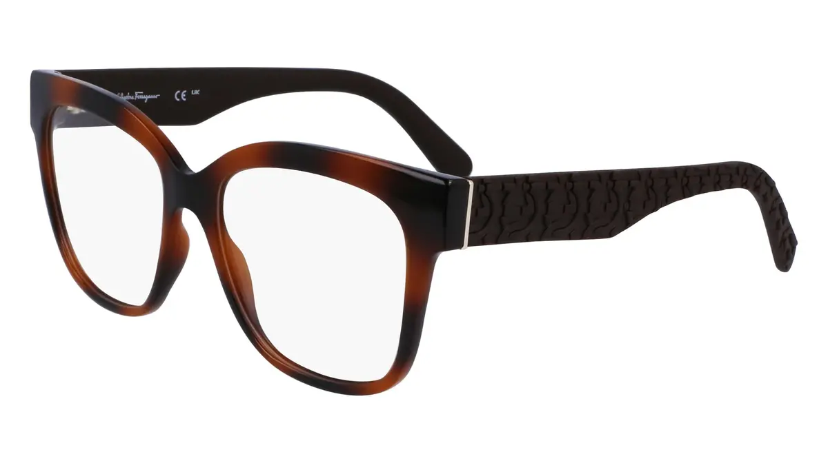 Salvatore Ferragamo Sf2956e Eyeglasses 1