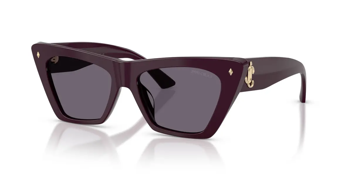 Jimmy Choo 5062U Sunglasses 1