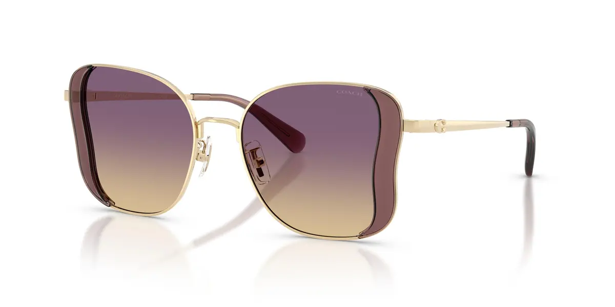 Coach Cdp51 7188 Sunglasses 1