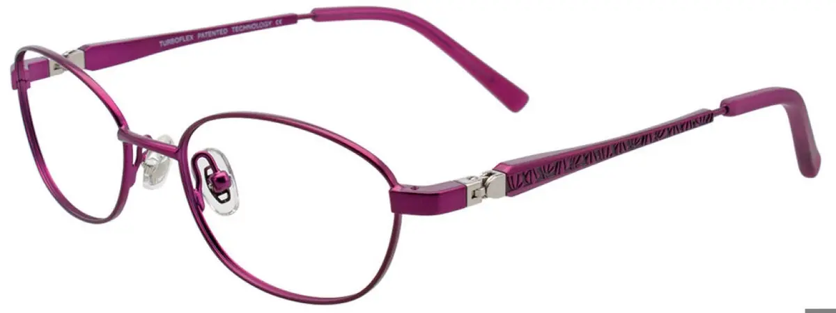 Aspex Eyewear Ec365 Eyeglasses 1