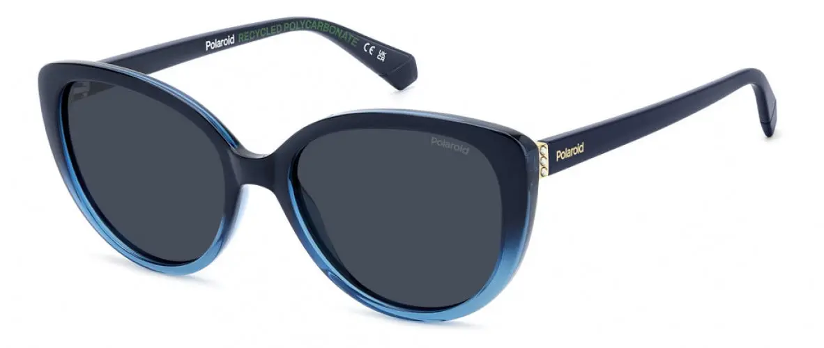 Polaroid Core Pld4176 Sunglasses 1