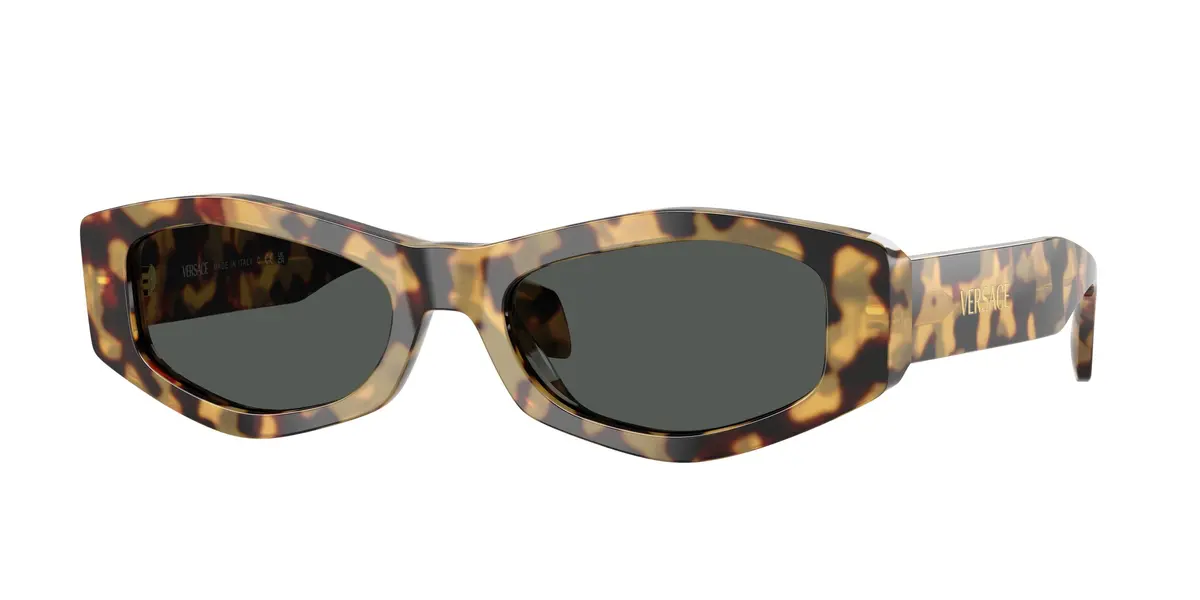 Versace 4487F Sunglasses 1
