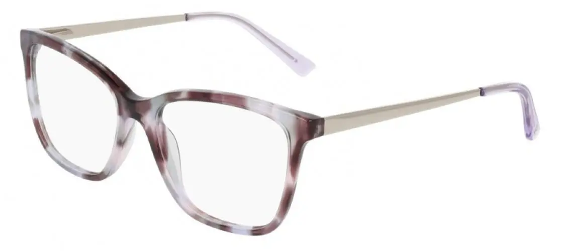 Lenton &Amp; Rusby Lr5030 Eyeglasses 1