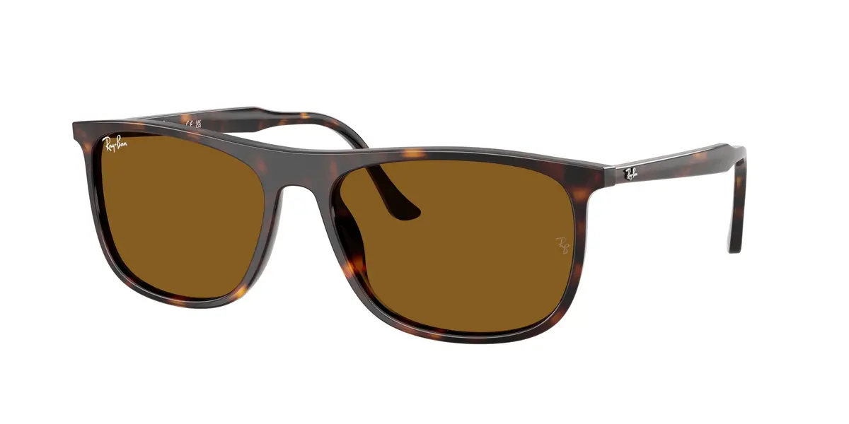 Ray-Ban 2216 Sunglasses 1