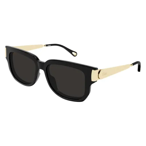 Chloe Ch0351s Sunglasses 1