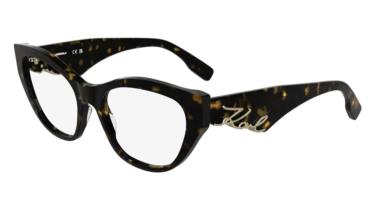 Karl Lagerfeld Kl6189 Eyeglasses 1