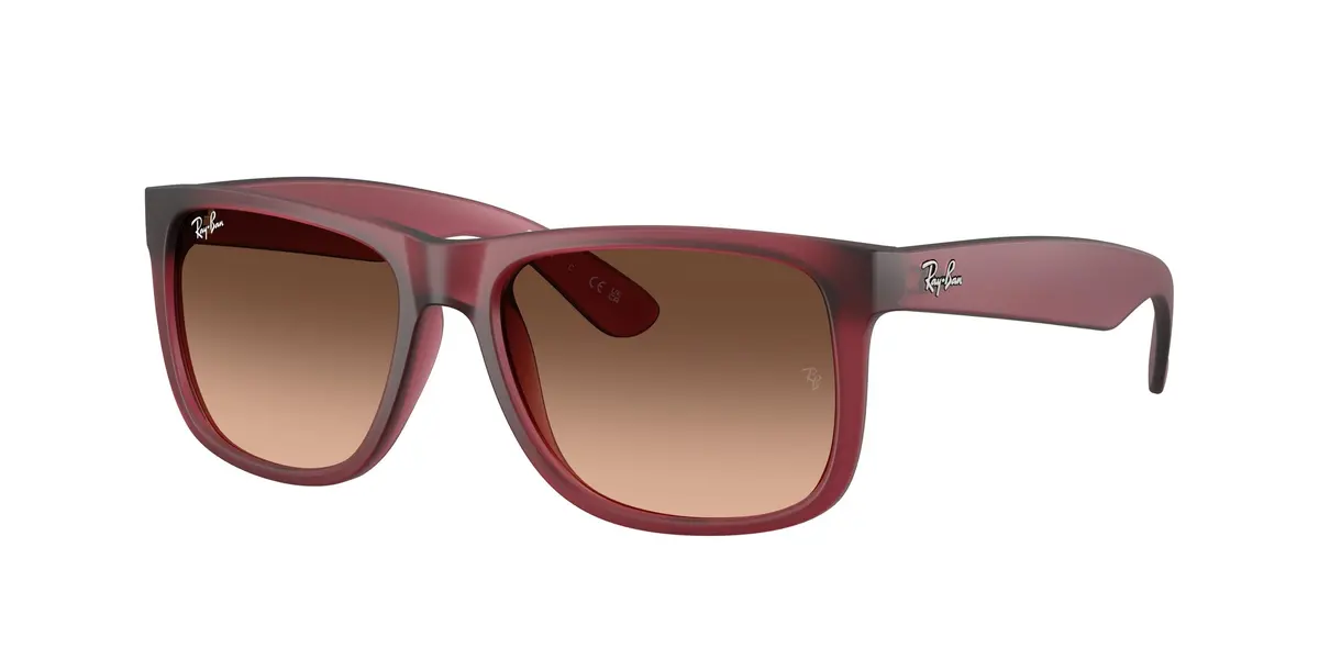 Ray-Ban Justin 4165 Sunglasses 1