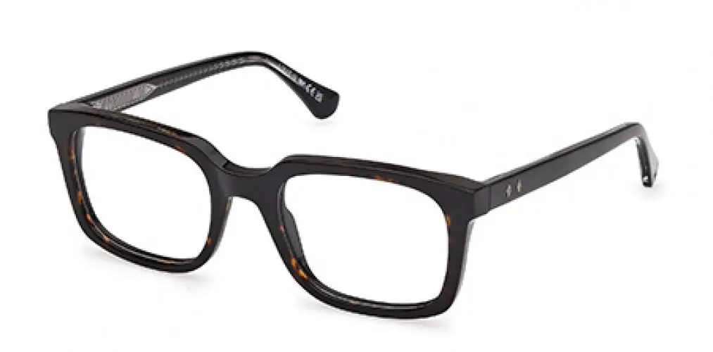 Web 5445 Eyeglasses 1