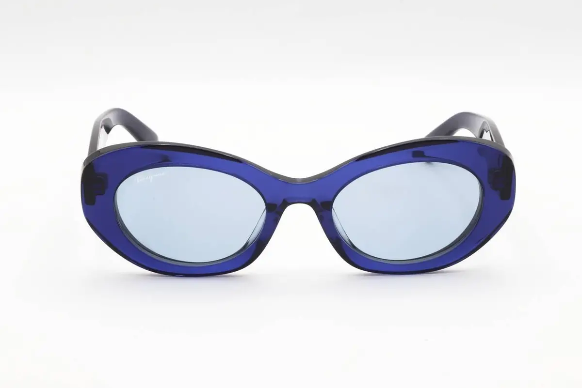 Ferragamo Sf1080s Sunglasses 1