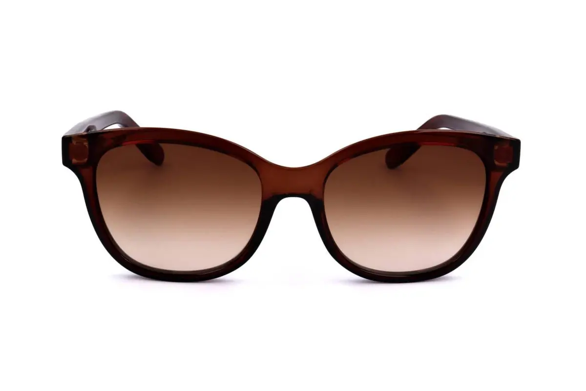 Salvatore Ferragamo Sf834s Sunglasses 1