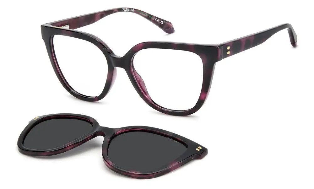 Polaroid Core Pldd596 Eyeglasses 1