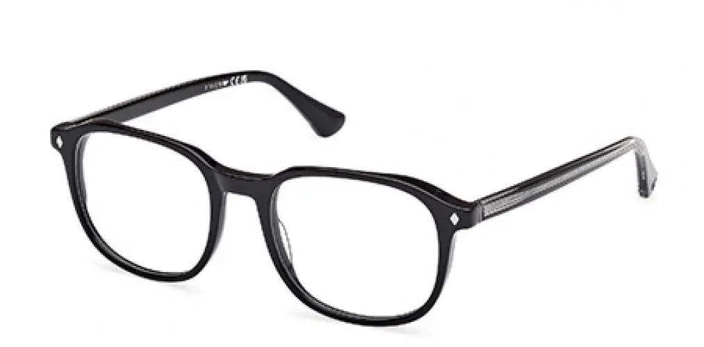 Web 5454 Eyeglasses 1