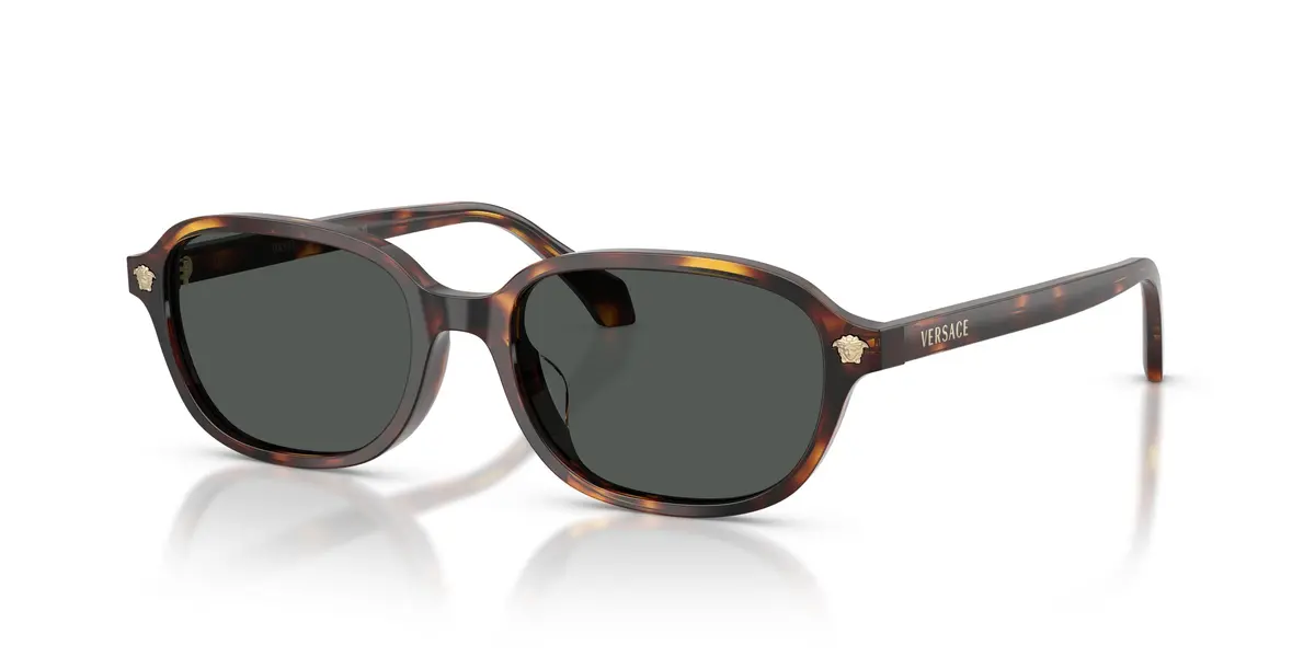 Versace 4514D Sunglasses 1