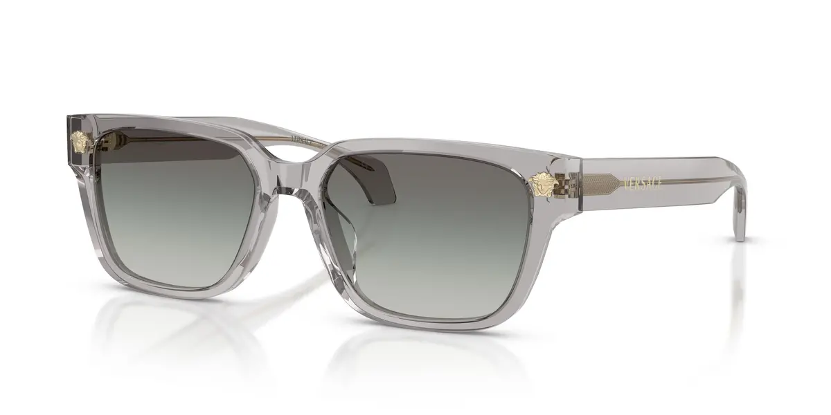 Versace 4513D Sunglasses 1