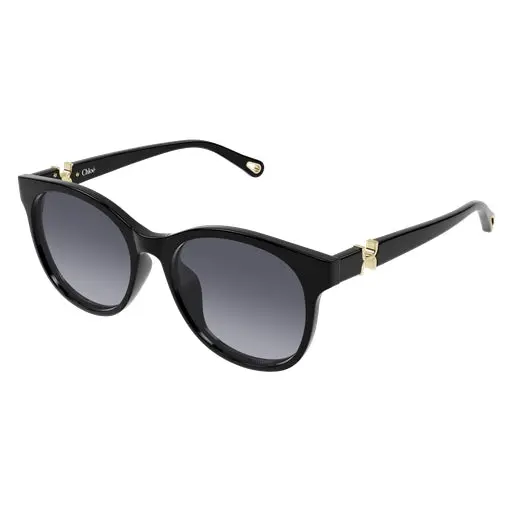 Chloe Ch0375sk Sunglasses 1