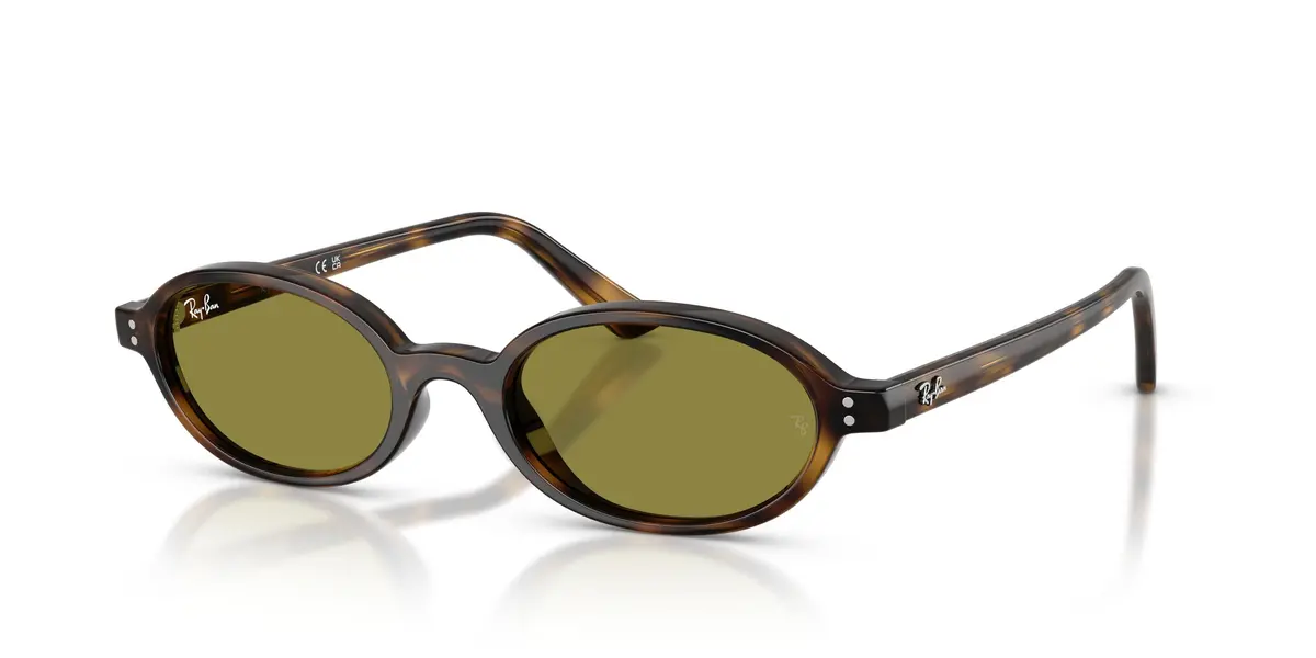 Ray-Ban 4472 Sunglasses 1