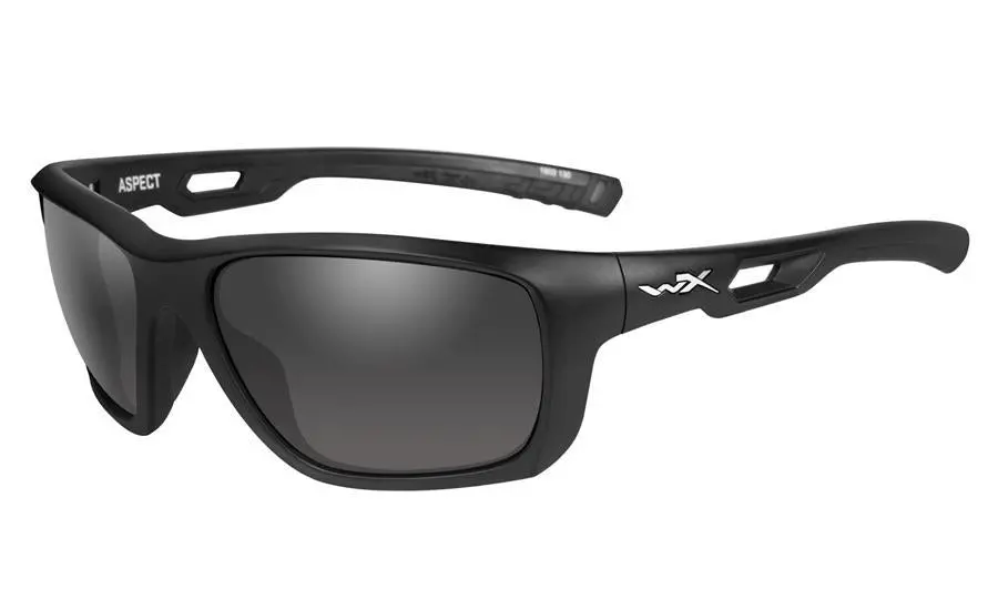 Wiley X Active Aspect Frame & Lenses 1