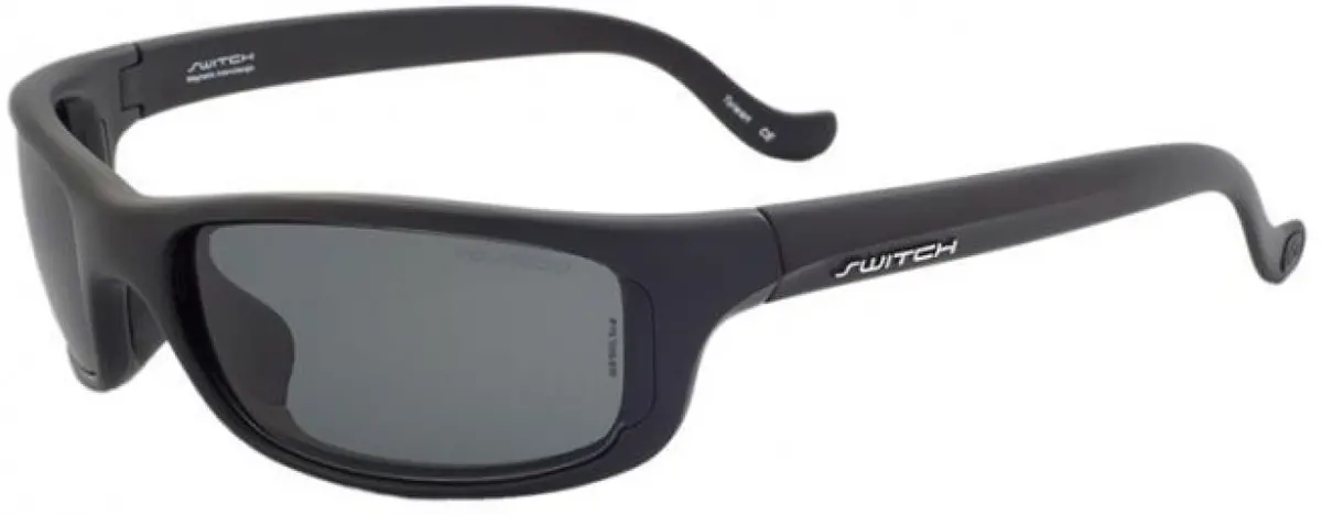 Rec Specs Tioga Sunglasses 1