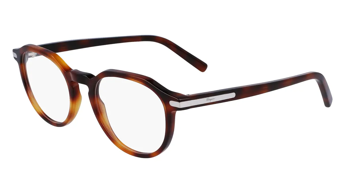 Salvatore Ferragamo Sf2955 Eyeglasses 1