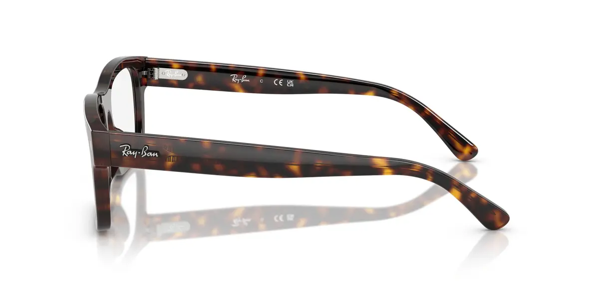 Ray-Ban 5435 Eyeglasses 22