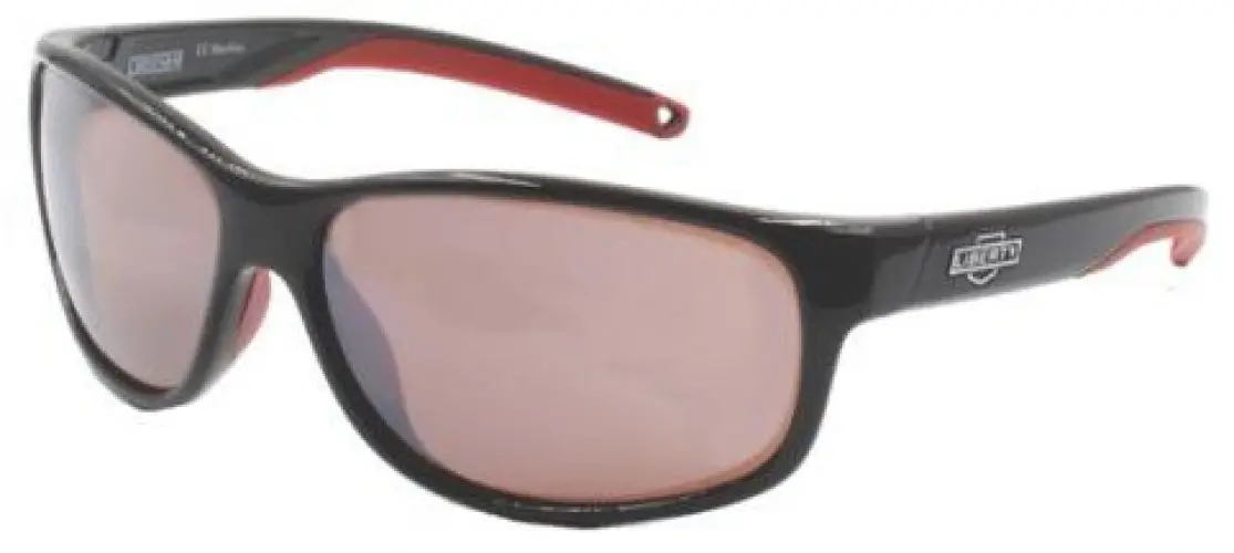 Rec Specs Cruiser Sunglasses 1
