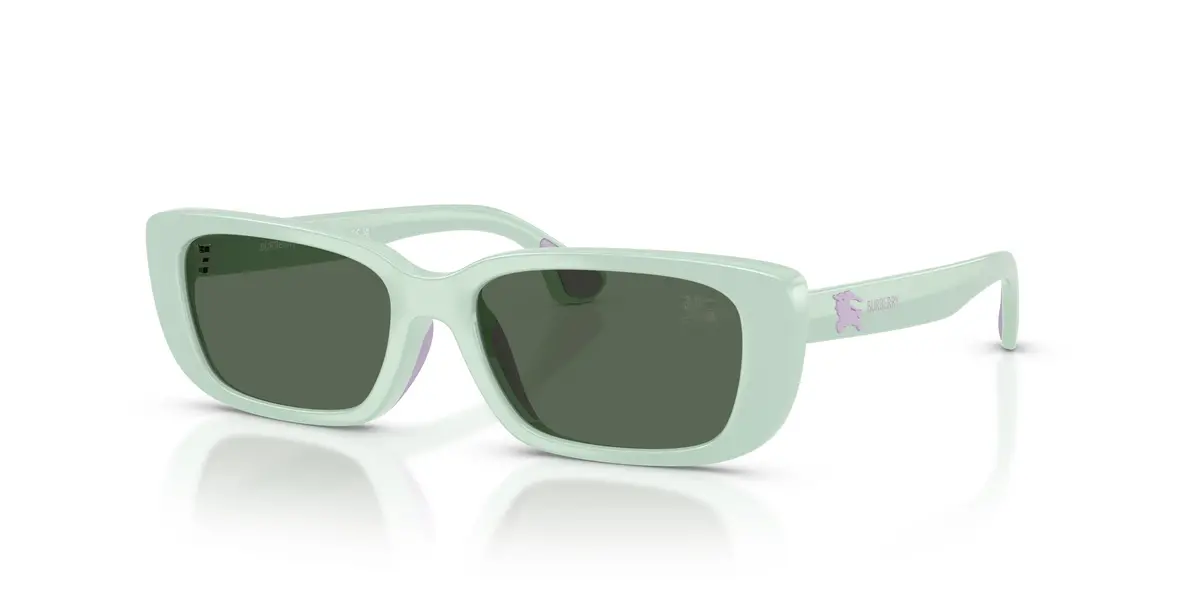 Burberry Kids 4006U Sunglasses 1