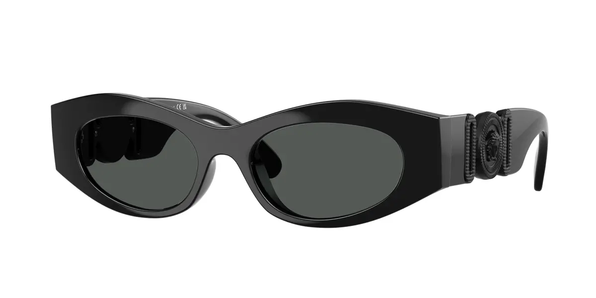 Versace 4480U Sunglasses 1