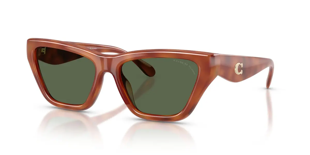Coach Cdp33 8449U Sunglasses 1