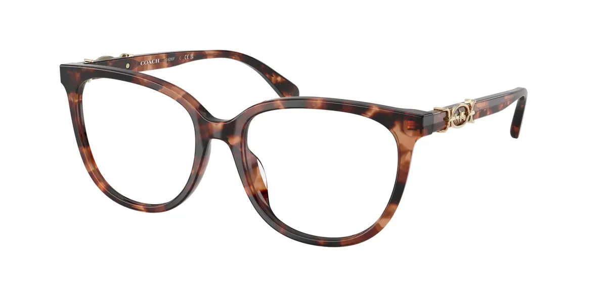 Coach 6260F Eyeglasses 1