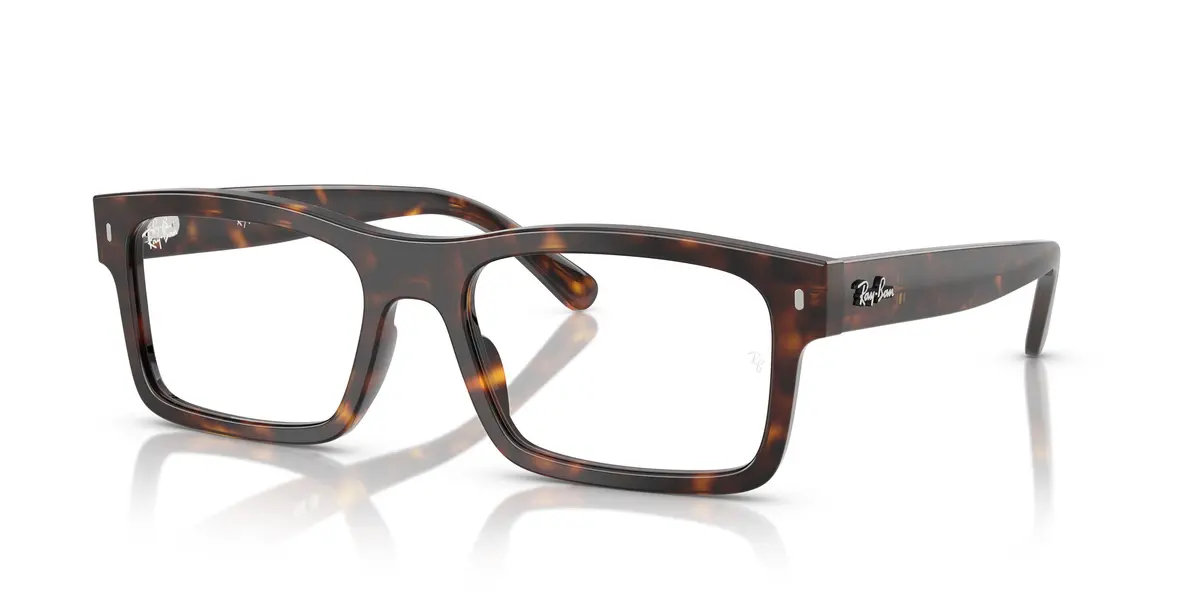 Ray-Ban 5435 Eyeglasses 21