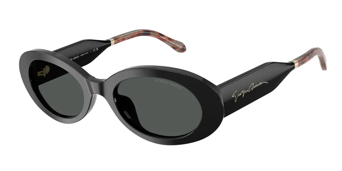 Giorgio Armani 8234U Sunglasses 1