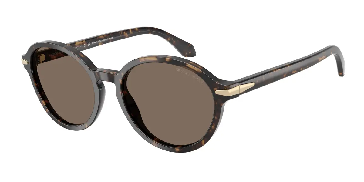 Giorgio Armani 8237F Sunglasses 1