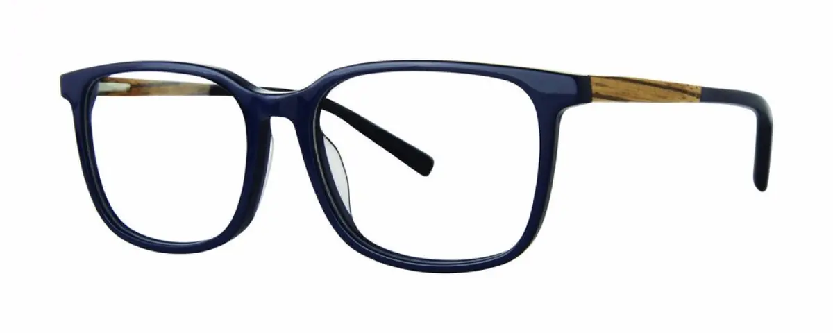 Gvx Gvx588 Eyeglasses 1