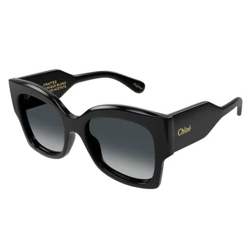 Chloe Ch0252s Sunglasses 1