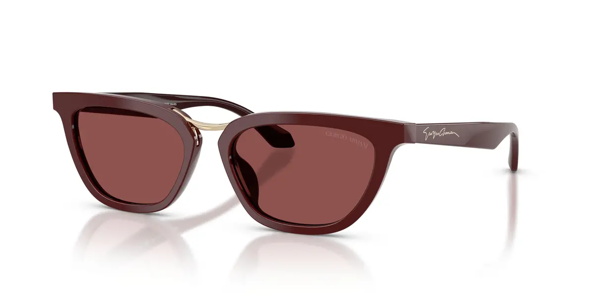 Giorgio Armani 8253U Sunglasses 1