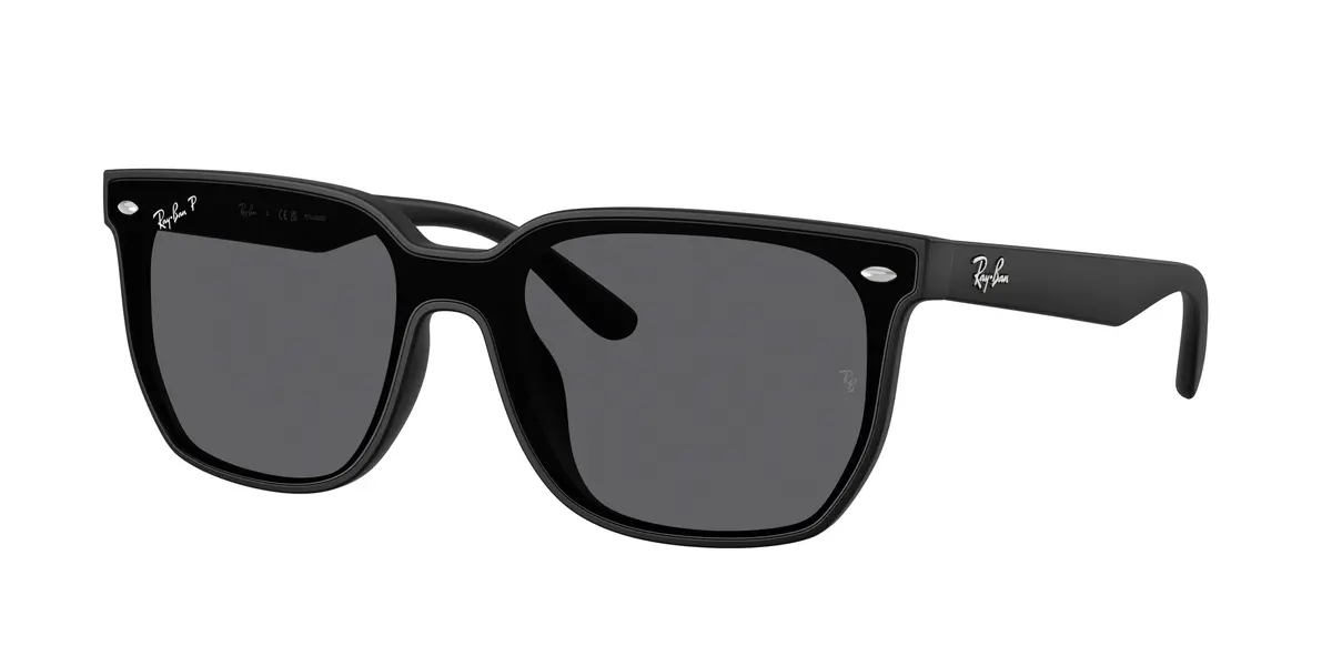 Ray-Ban 4466D Sunglasses 1