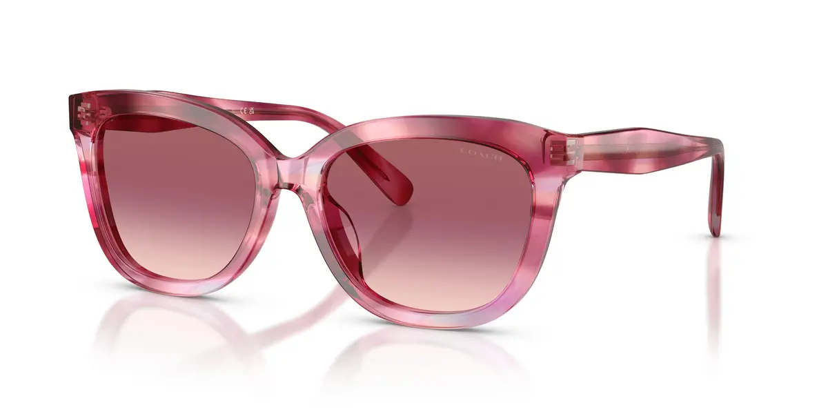 Coach Cdp53 8453U Sunglasses 1