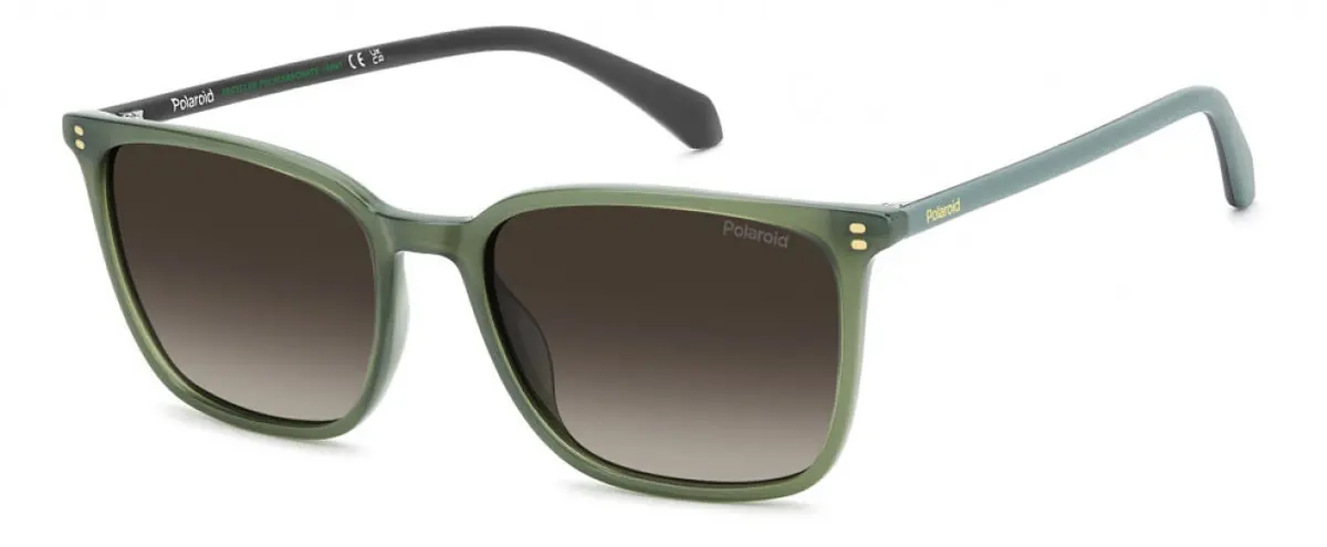 Polaroid Core Pld4207 Sunglasses 1