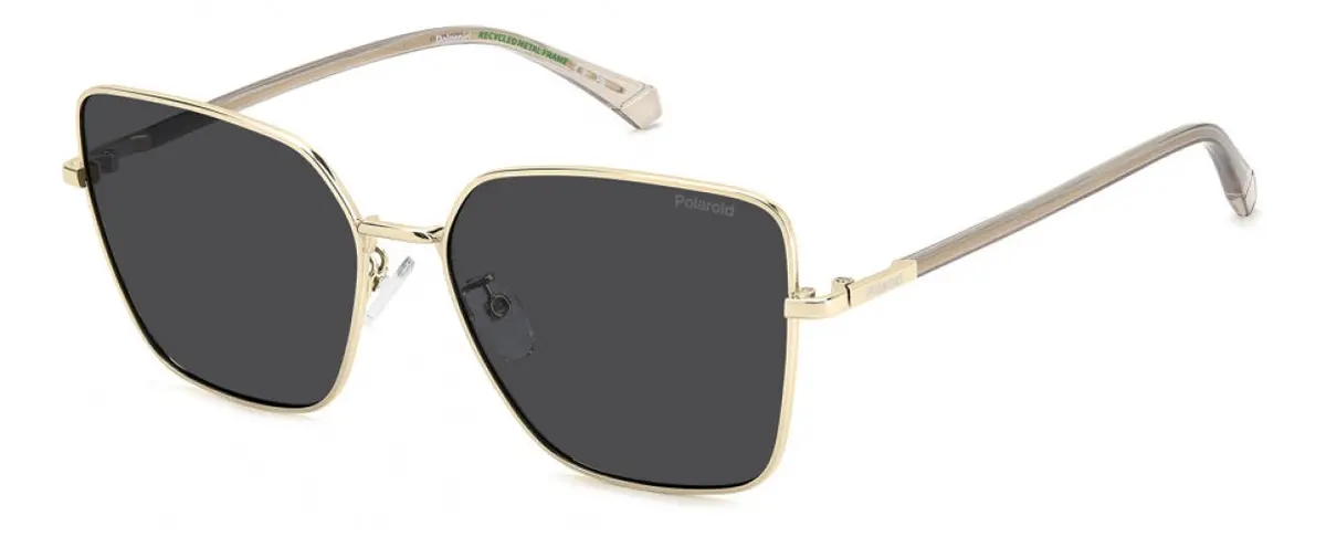 Polaroid Core Pld4193 Sunglasses 1