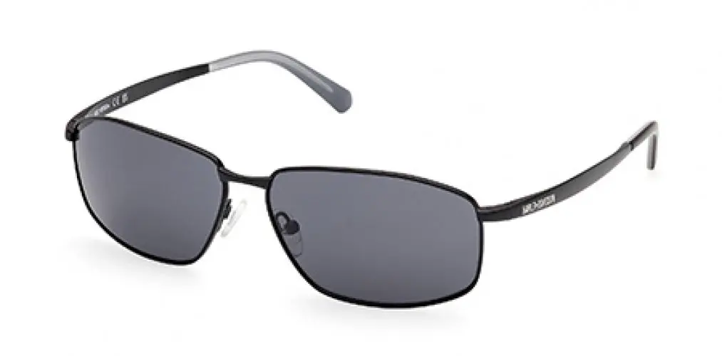 Harley-Davidson 00024 Sunglasses 1