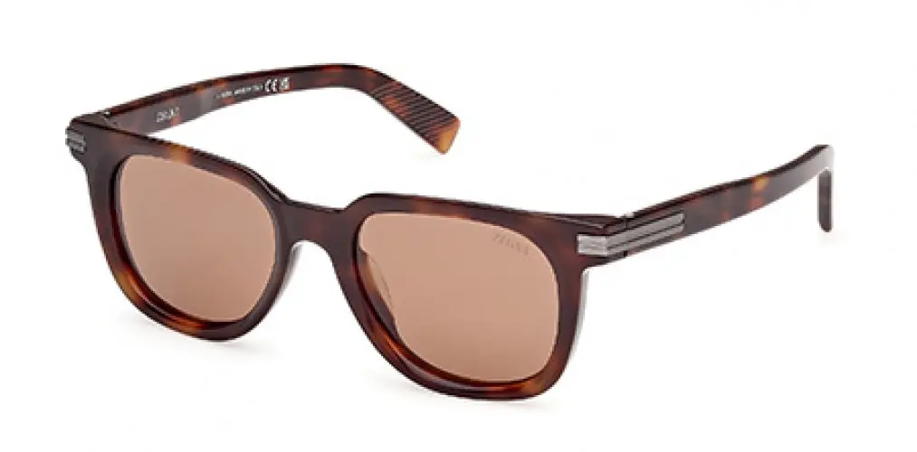 Zegna 0248 Sunglasses 1
