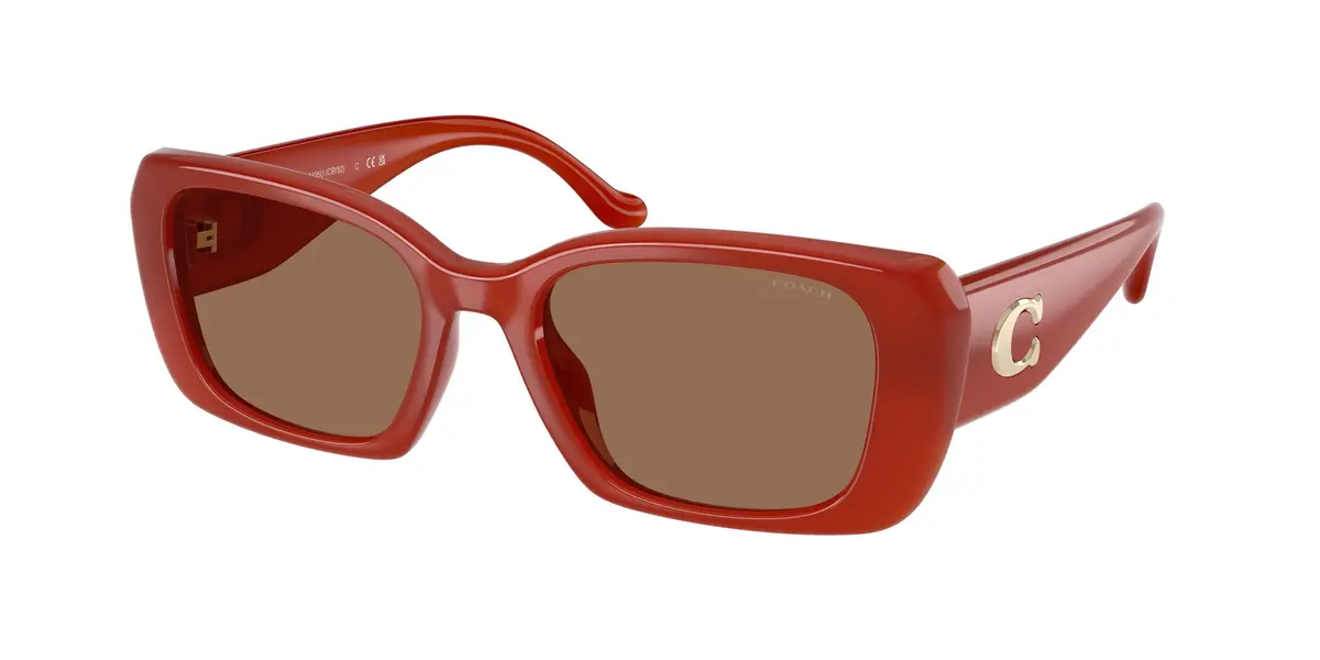 Coach Cby82 8435U Sunglasses 1