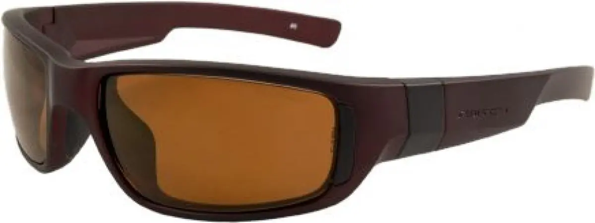 Rec Specs B7 Sunglasses 1