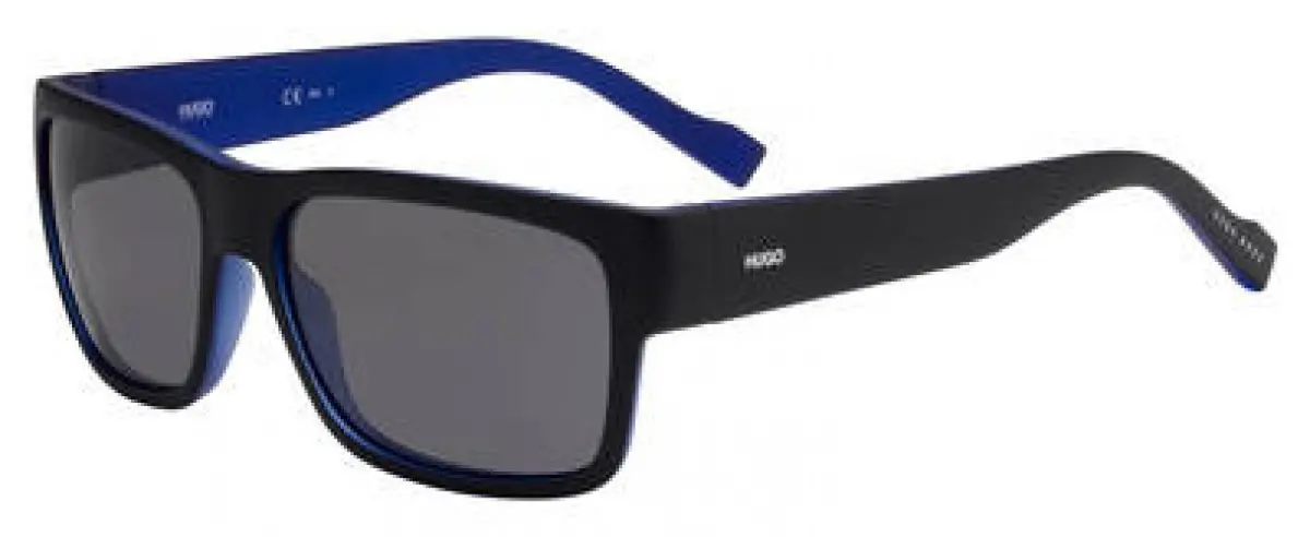 Hugo Hg0176 Sunglasses 1